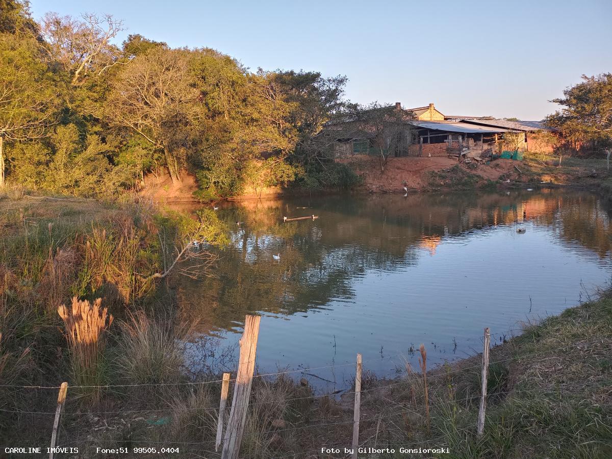 Fazenda à venda com 3 quartos, 586000m² - Foto 15