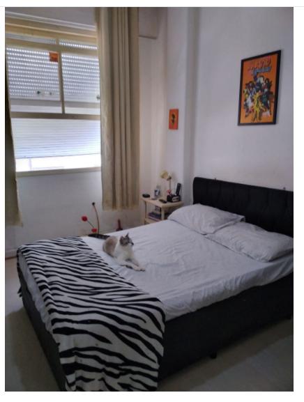 Apartamento à venda com 3 quartos, 110m² - Foto 12