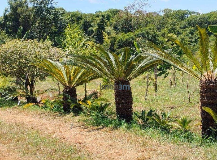 Chácara à venda com 3 quartos, 150m² - Foto 13