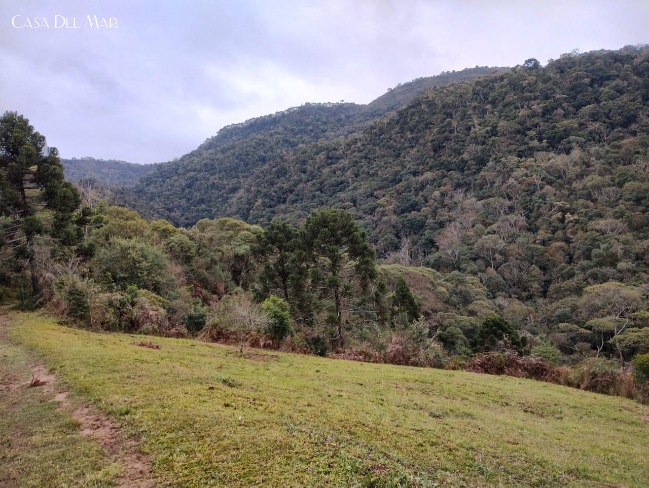 Fazenda à venda, 20000m² - Foto 10