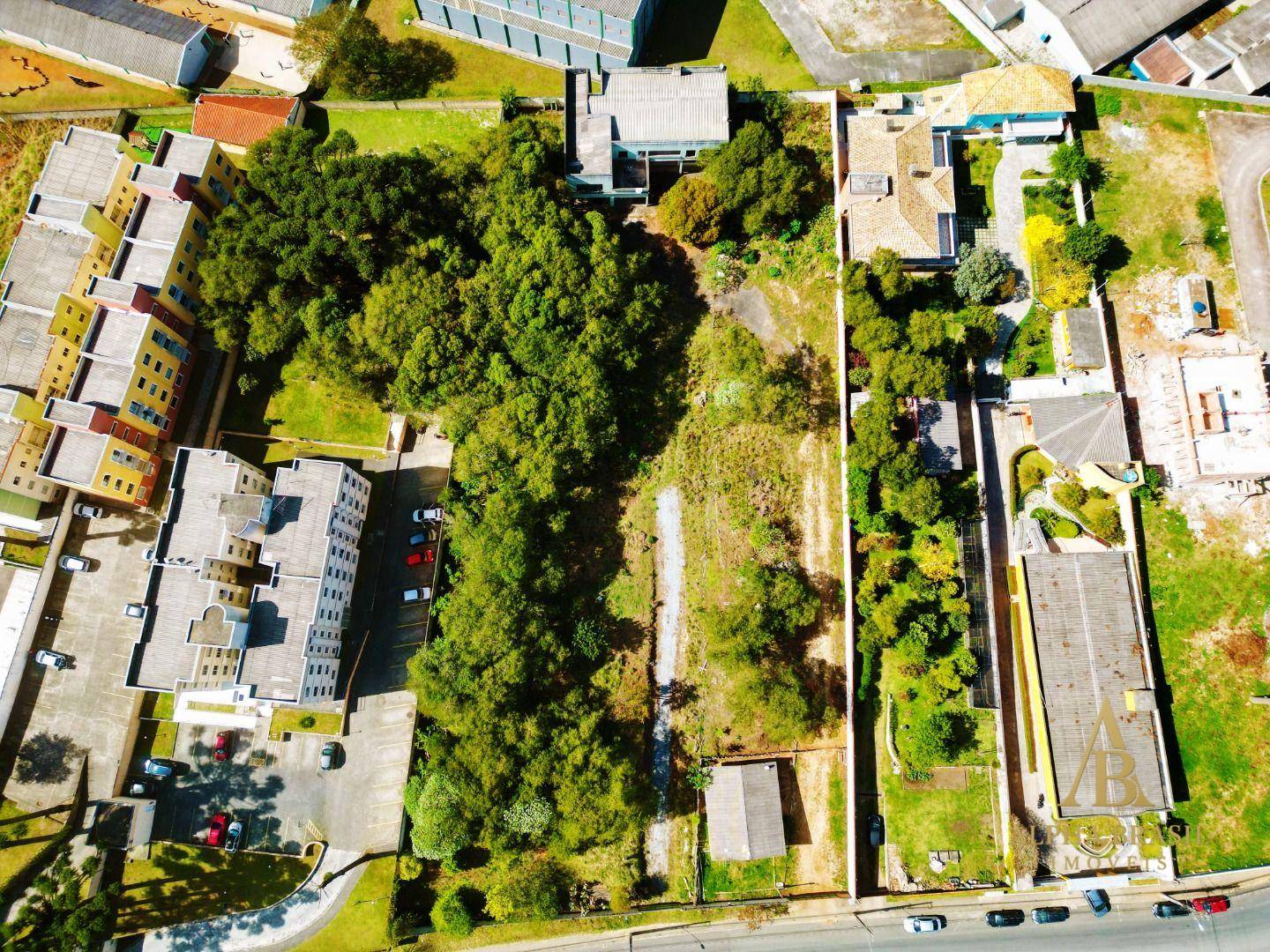 Terreno, 4000 m² - Foto 4