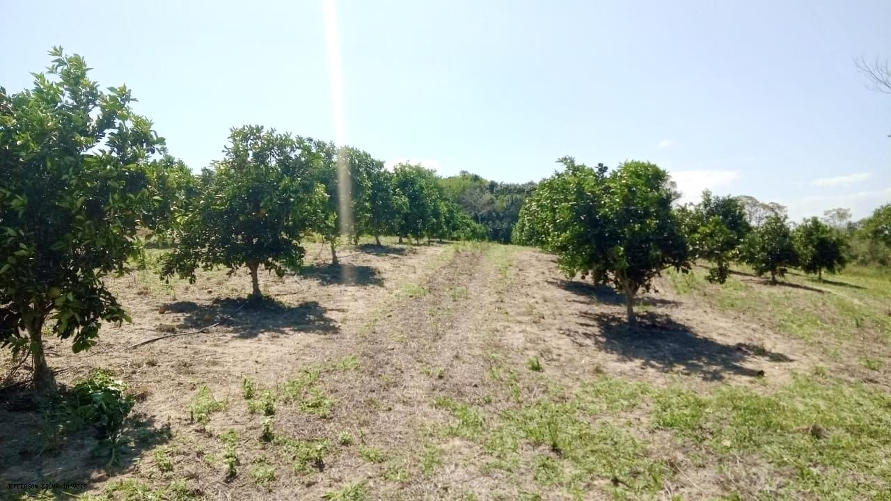 Fazenda à venda, 500000m² - Foto 8