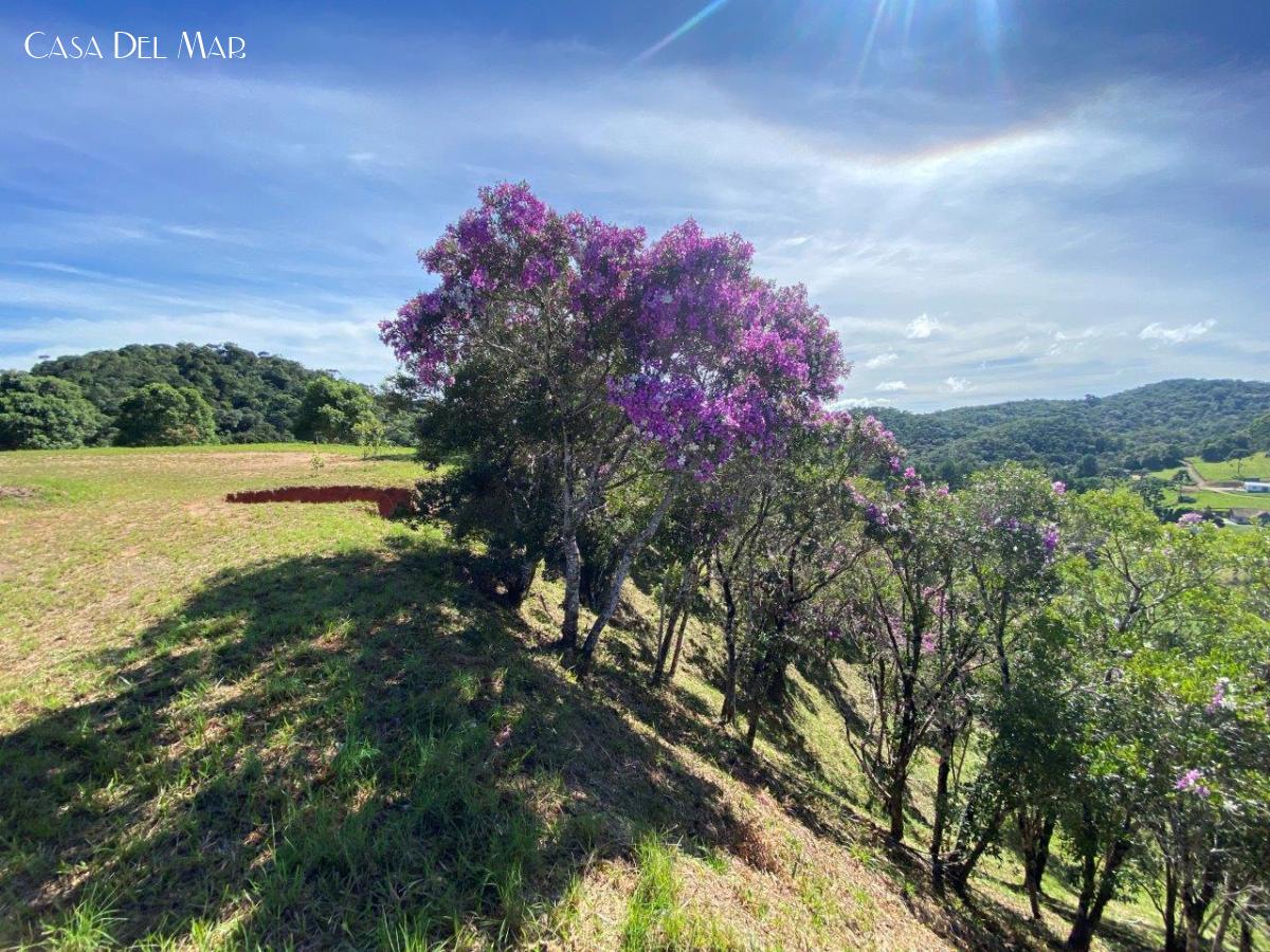 Terreno à venda, 1636m² - Foto 33