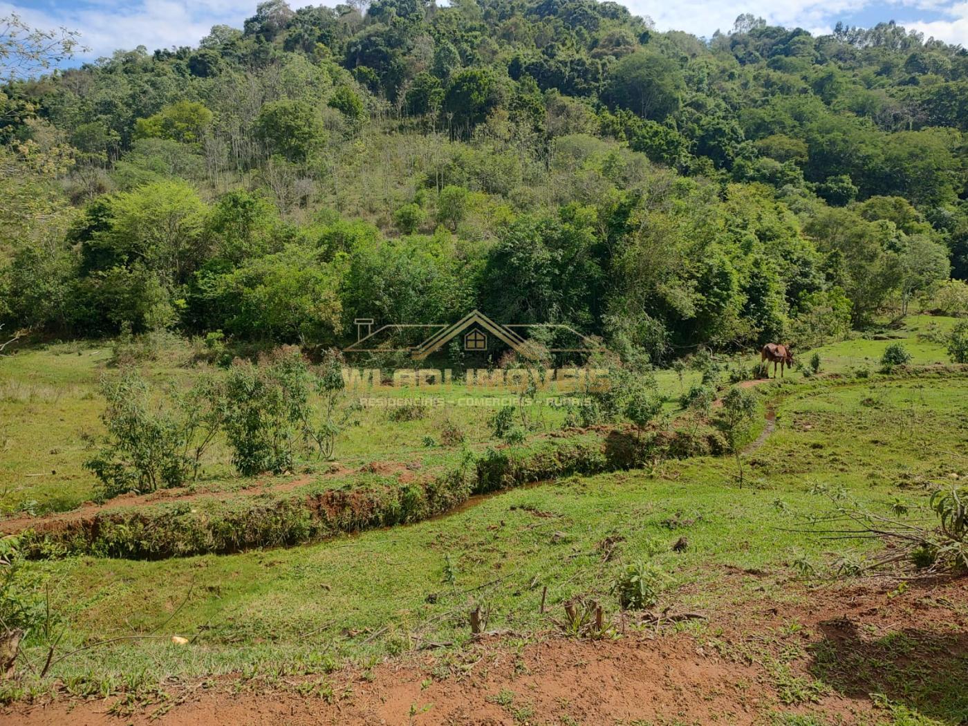 Fazenda à venda, 10m² - Foto 10