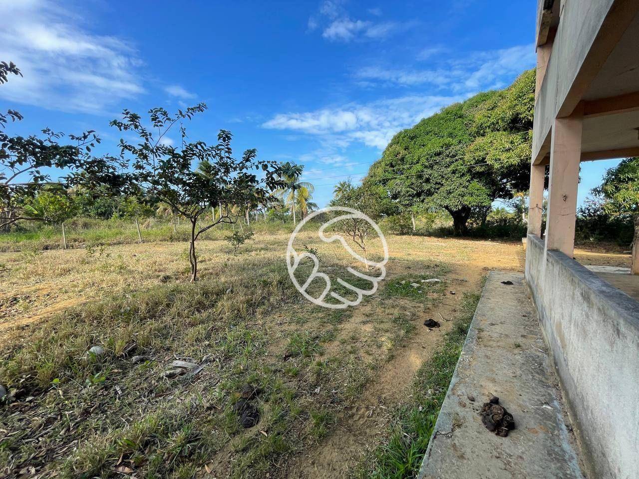 Sítio, 12 hectares - Foto 17