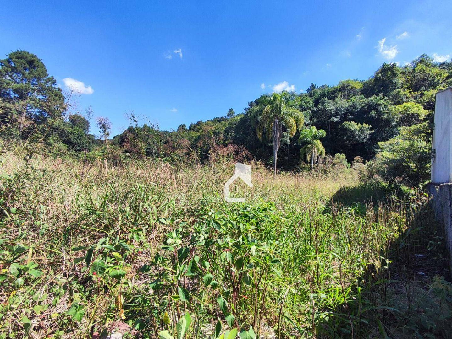 Terreno à venda, 300M2 - Foto 5