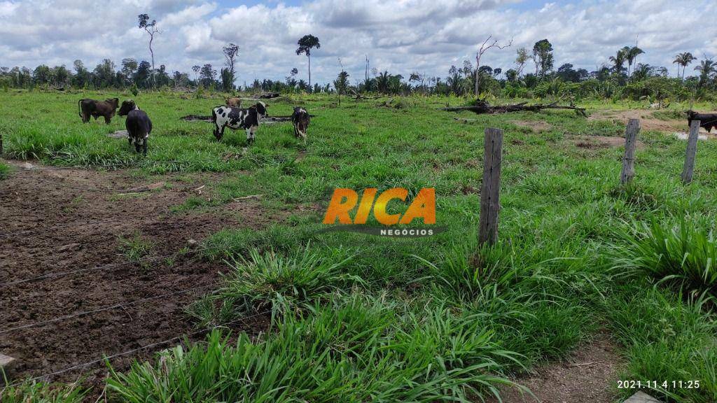 Fazenda à venda, 1070000M2 - Foto 9