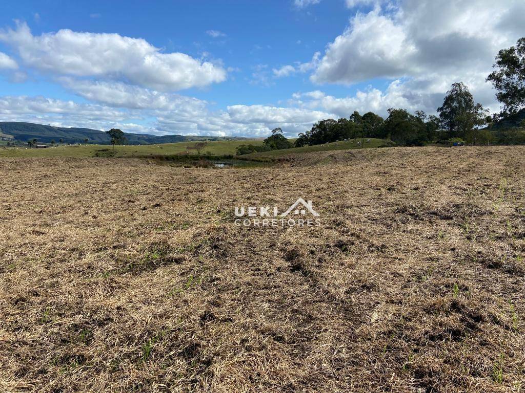 Fazenda-Sítio-Chácara, 327 hectares - Foto 3