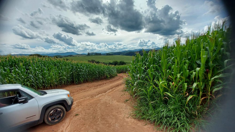 Fazenda-Sítio-Chácara, 178 hectares - Foto 3