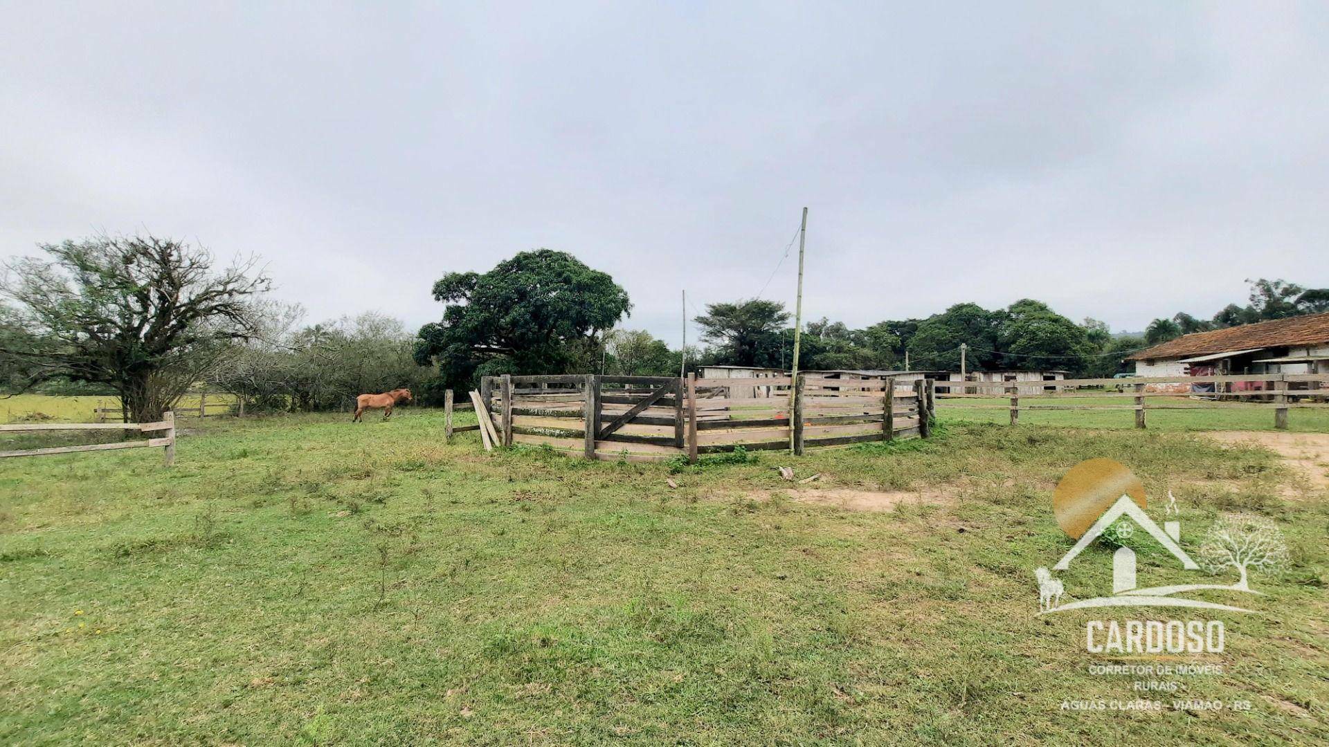 Haras e Área Rural Padrão à venda com 3 quartos, 270000M2 - Foto 6