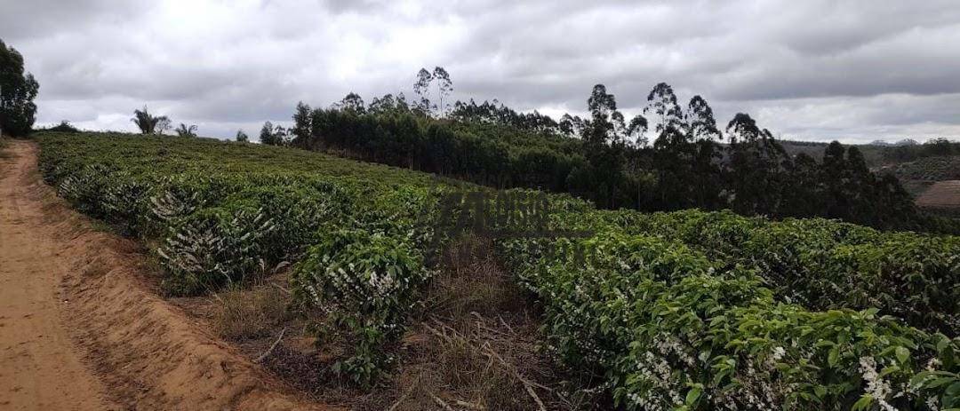 Fazenda à venda, 1452000M2 - Foto 44