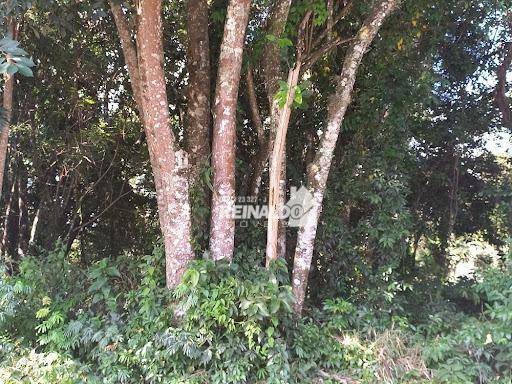 Loteamento e Condomínio à venda, 1000M2 - Foto 2