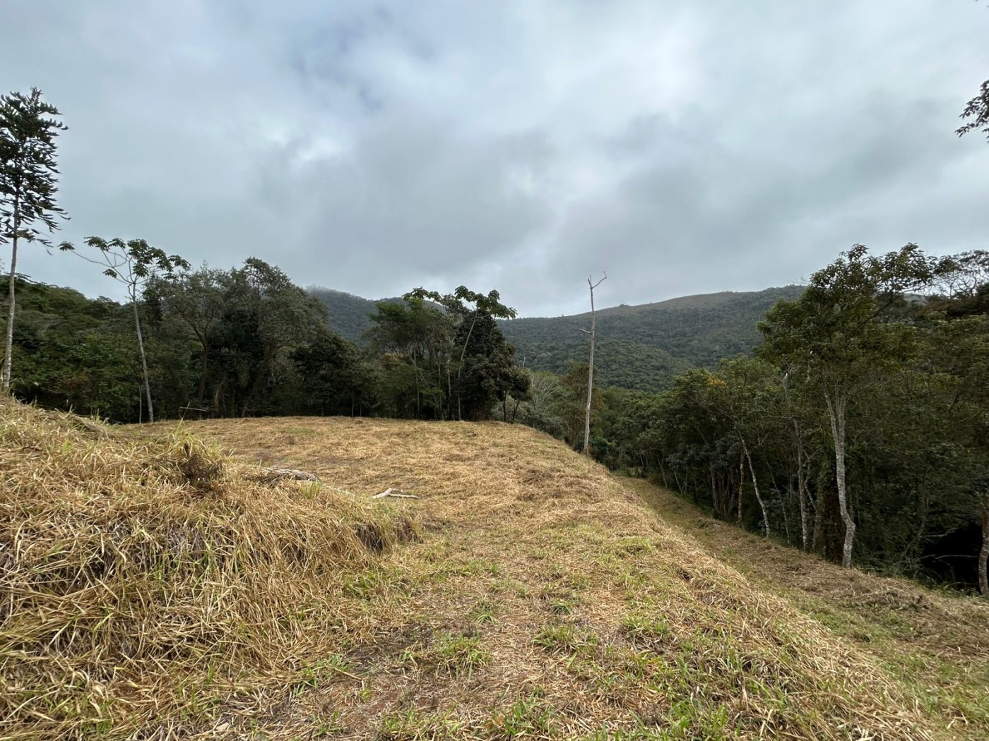 Terreno à venda, 178000m² - Foto 39