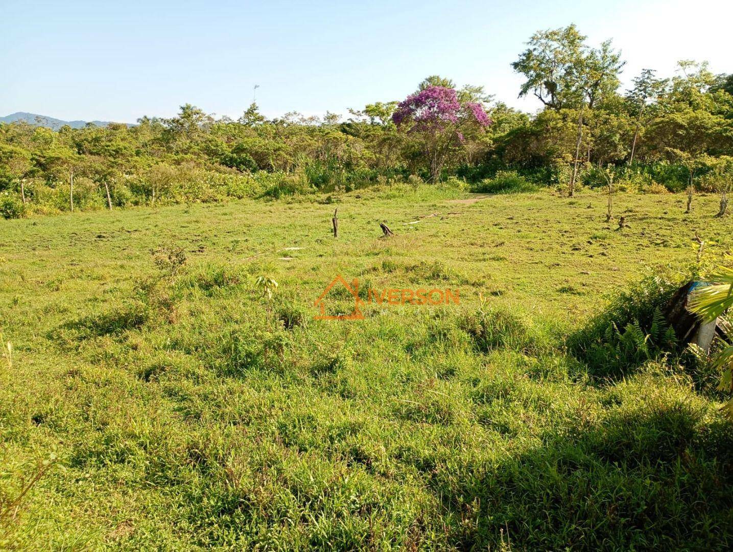Chácara à venda com 2 quartos, 200m² - Foto 4