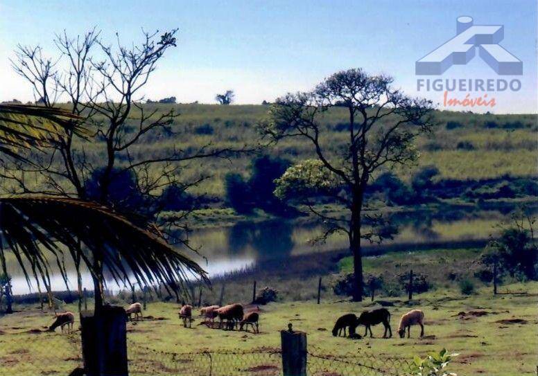 Sítio, 4 hectares - Foto 25