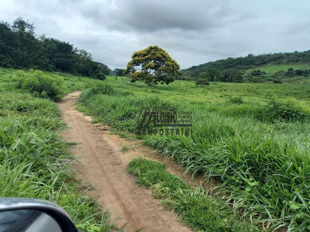 Fazenda à venda, 60984000M2 - Foto 12