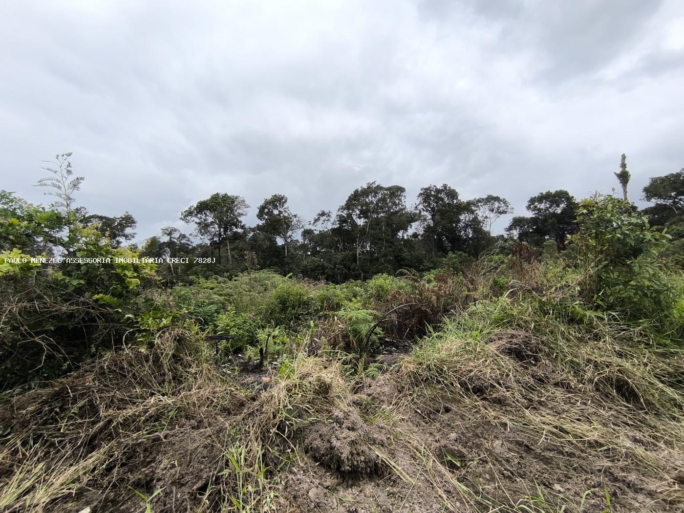 Terreno à venda, 450m² - Foto 6