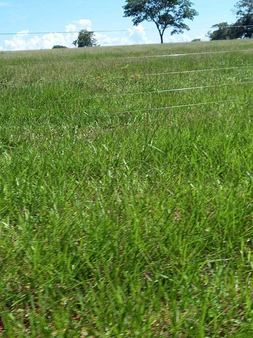 Fazenda à venda, 11610000M2 - Foto 1
