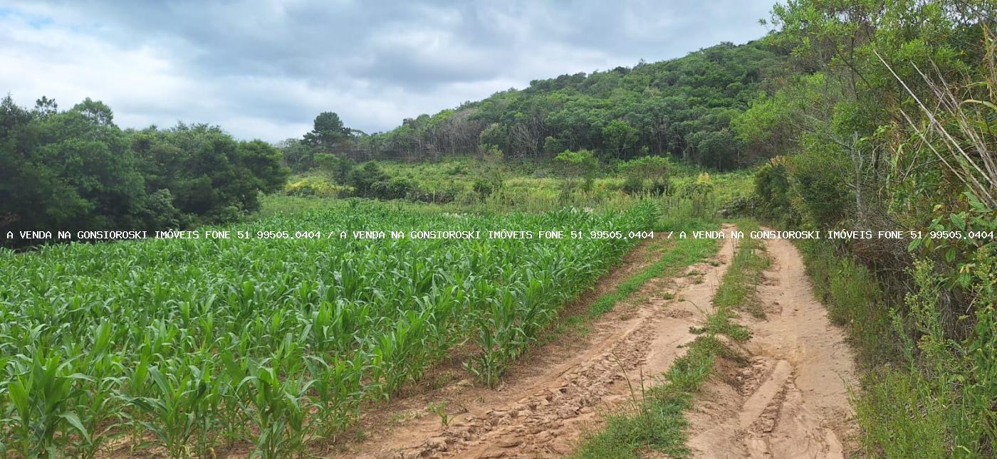 Loteamento e Condomínio à venda, 125000m² - Foto 3