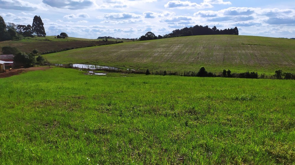 Fazenda à venda com 1 quarto, 24000m² - Foto 4