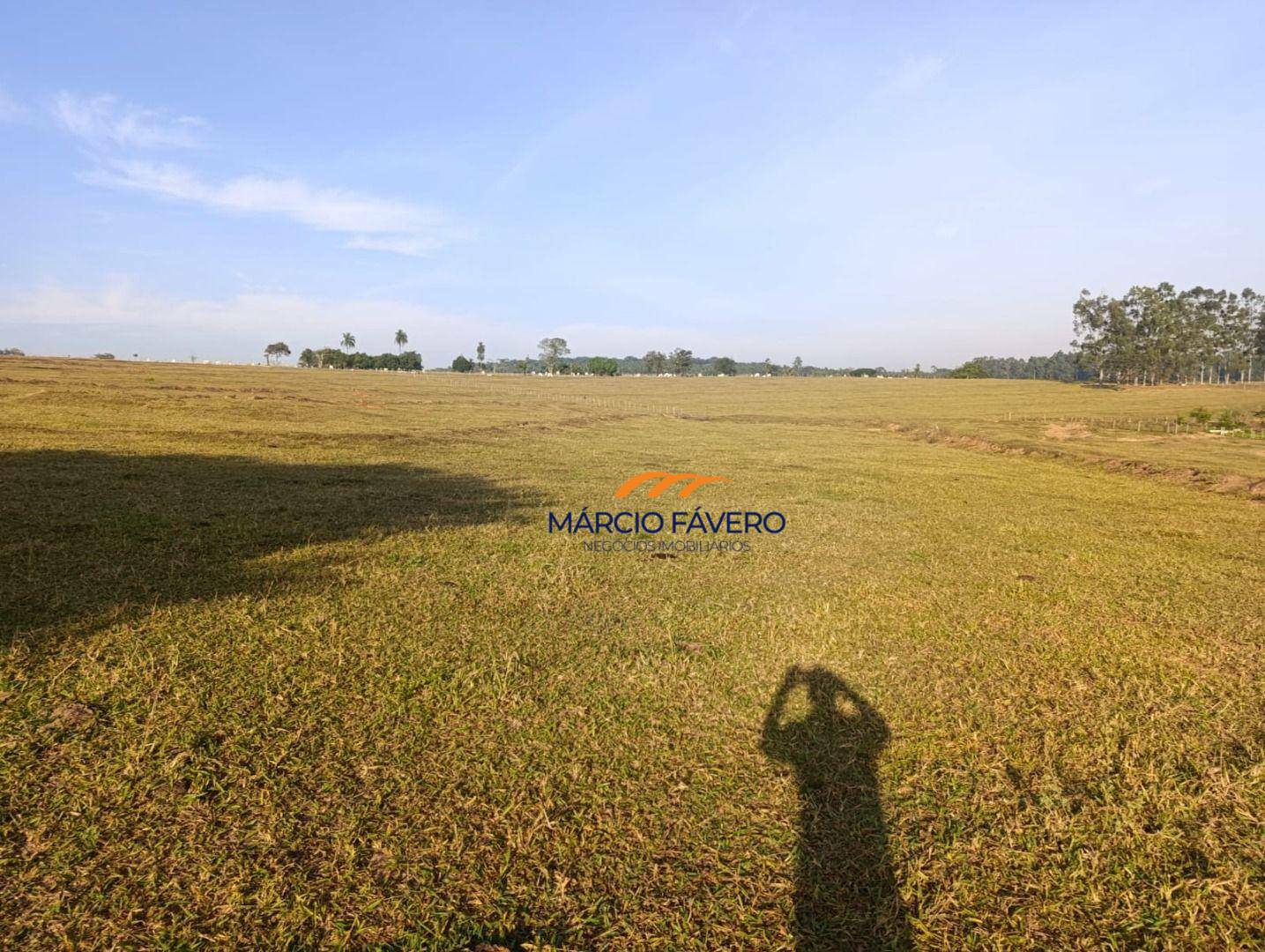 Sítio, 61 hectares - Foto 4