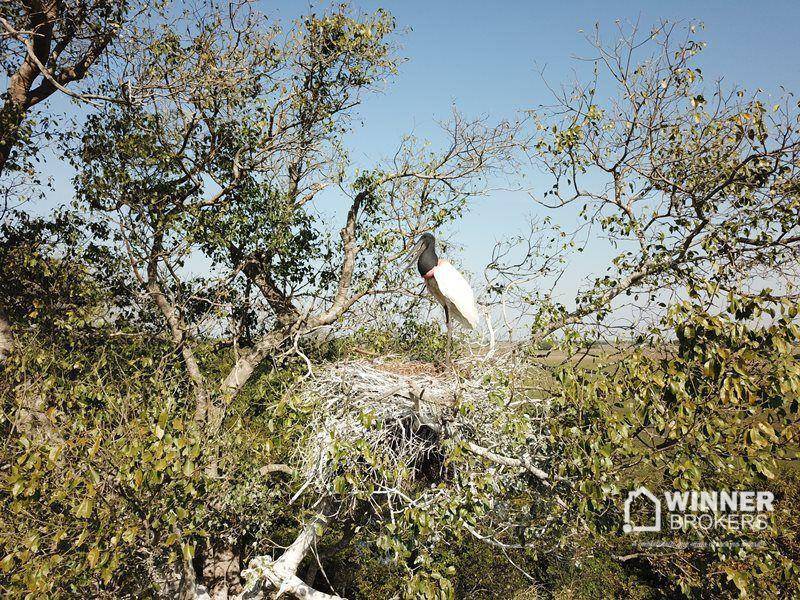 Flat/Apart Hotel, 20 quartos, 20000 m² - Foto 36