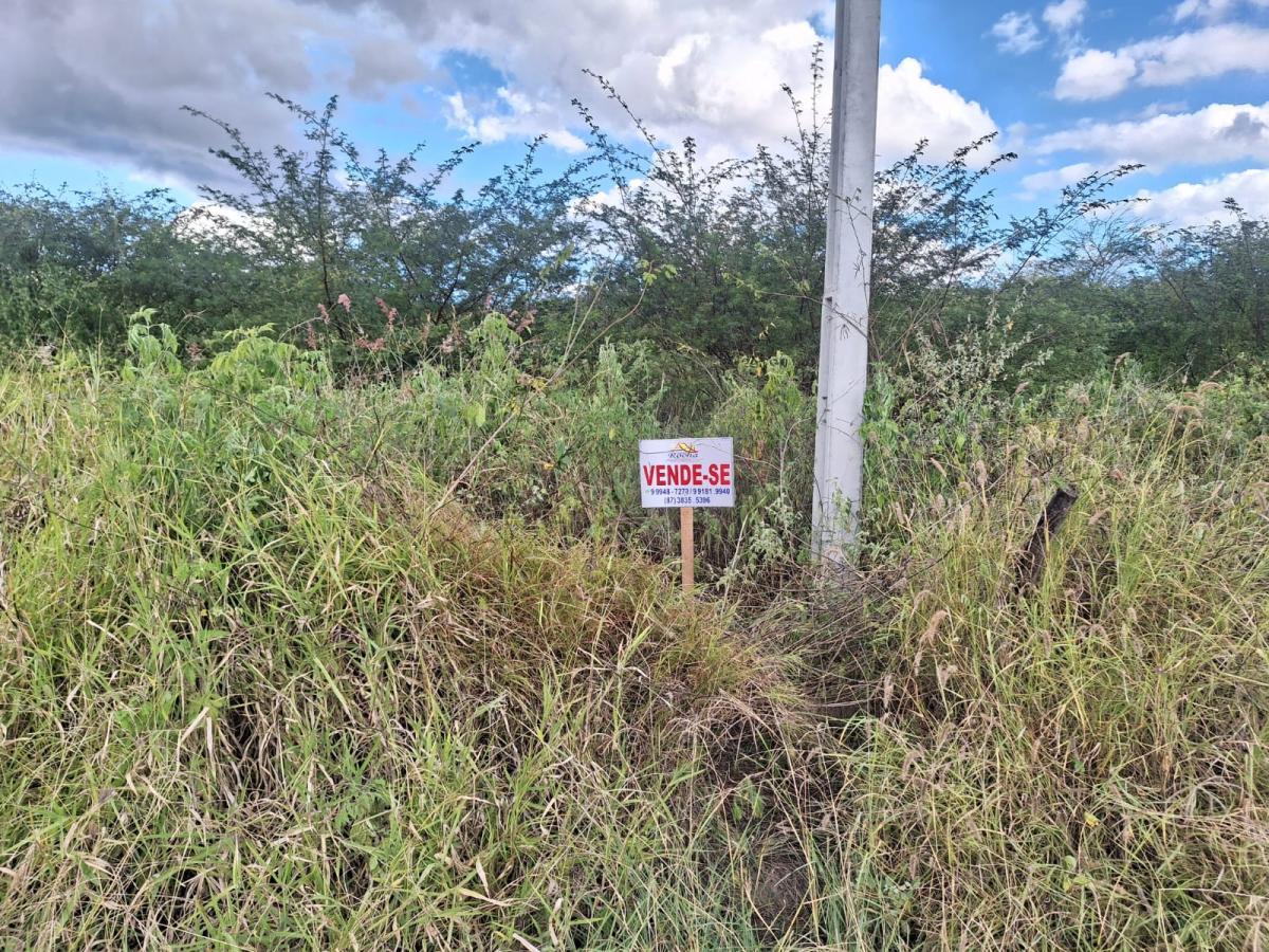 Terreno à venda, 2500m² - Foto 1