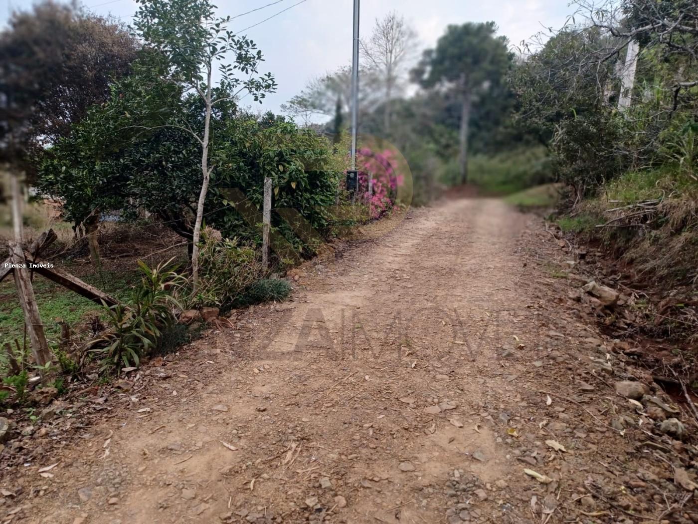 Sítio, 3 quartos, 5208 m² - Foto 2