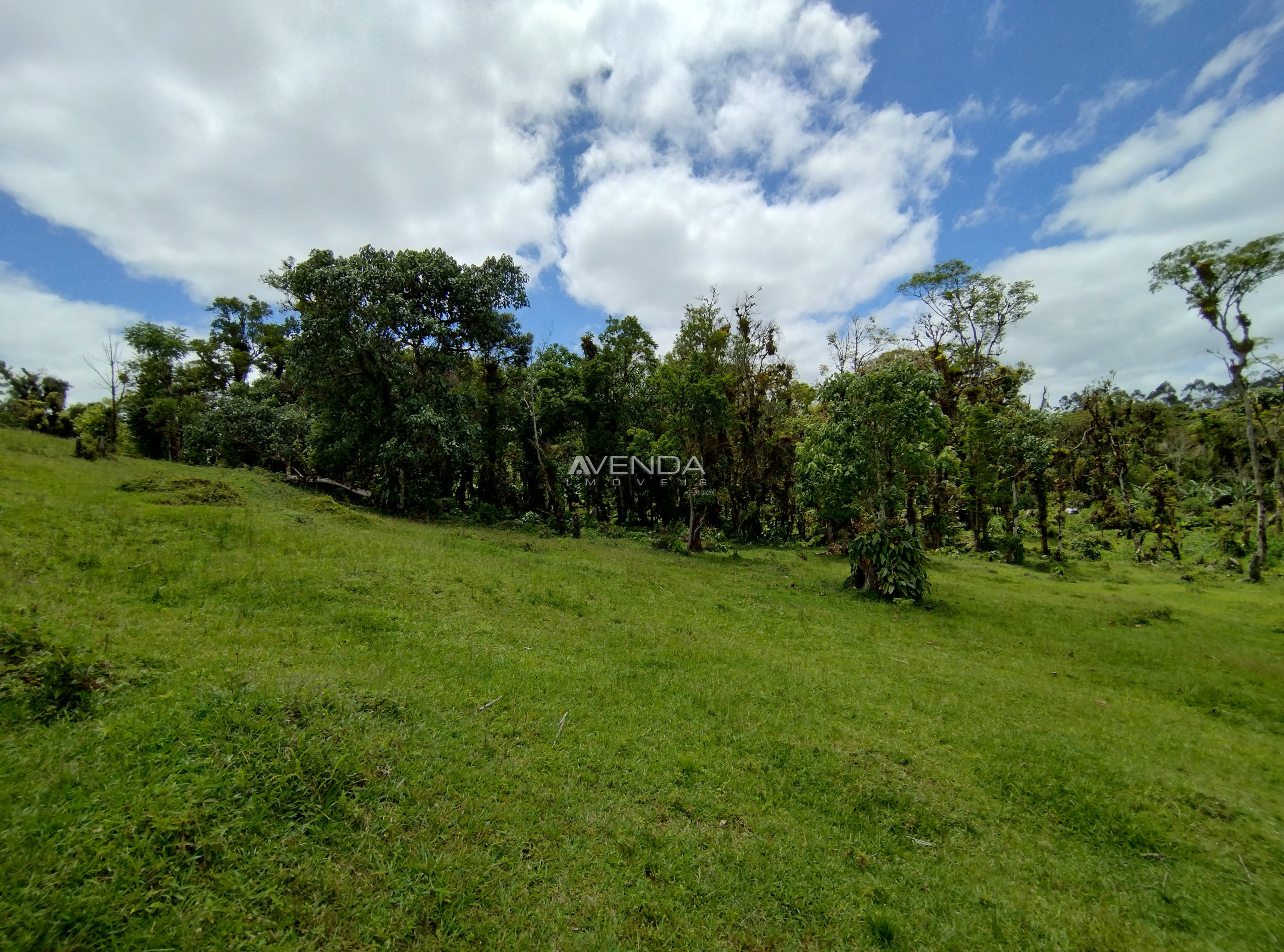 Fazenda à venda com 6 quartos, 208036m² - Foto 16