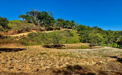 Fazenda à venda com 2 quartos, 50000m² - Foto 5