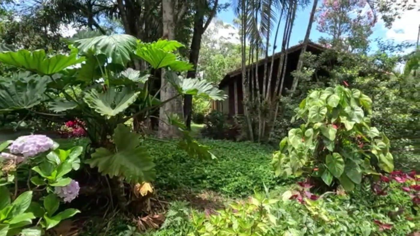 Sítio à venda com 8 quartos, 20000m² - Foto 3