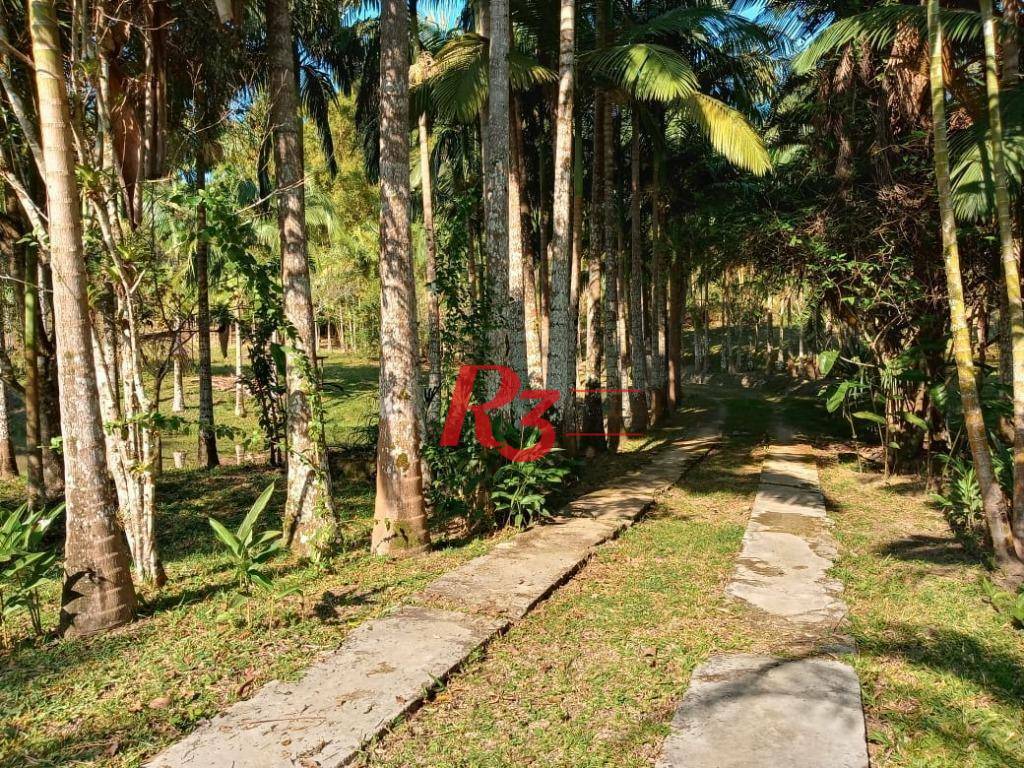 Sítio, 5 quartos, 7 hectares - Foto 4