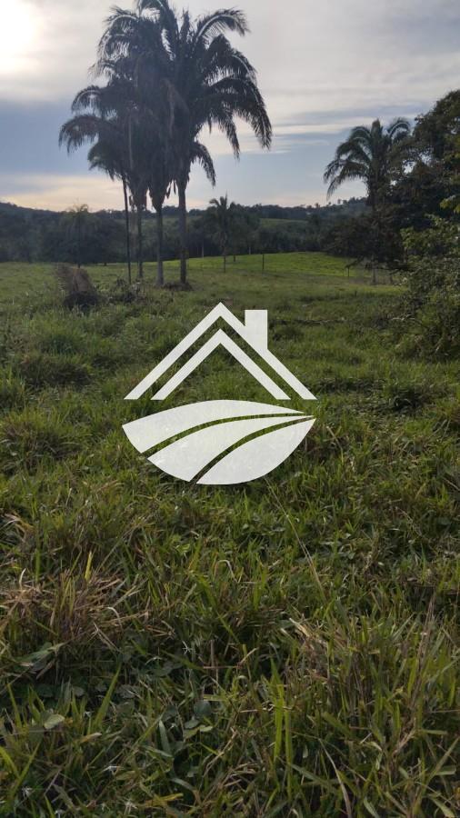 Fazenda à venda, 1m² - Foto 12