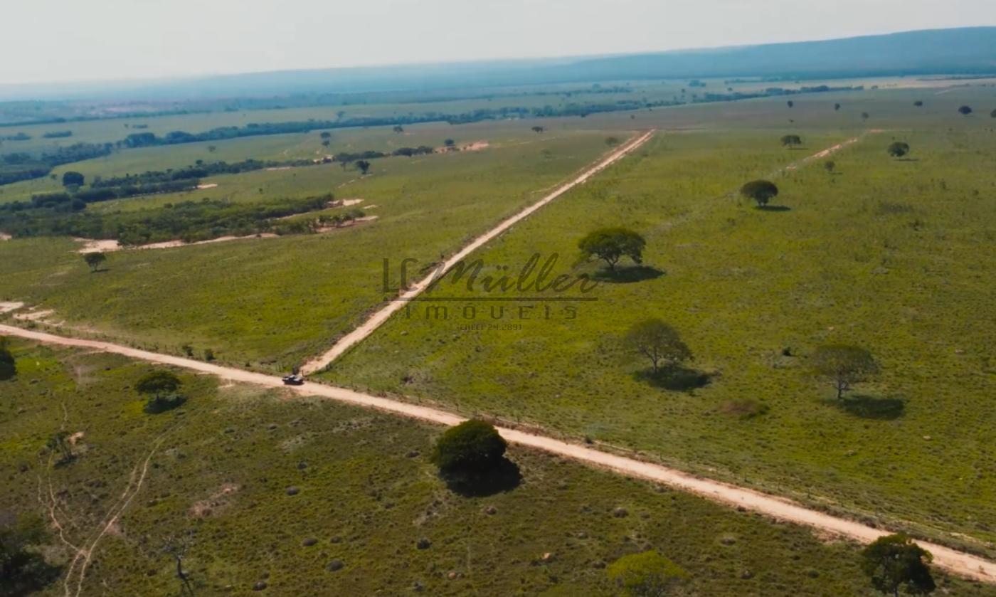 Fazenda à venda, 10000m² - Foto 19