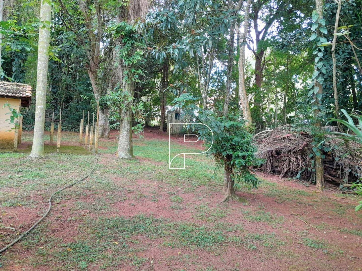 Chácara, 3 quartos, 3600 m² - Foto 5