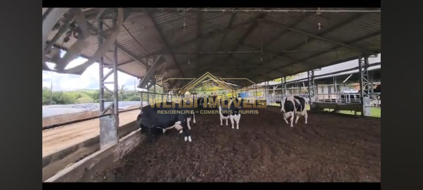 Fazenda à venda com 7 quartos, 196m² - Foto 17