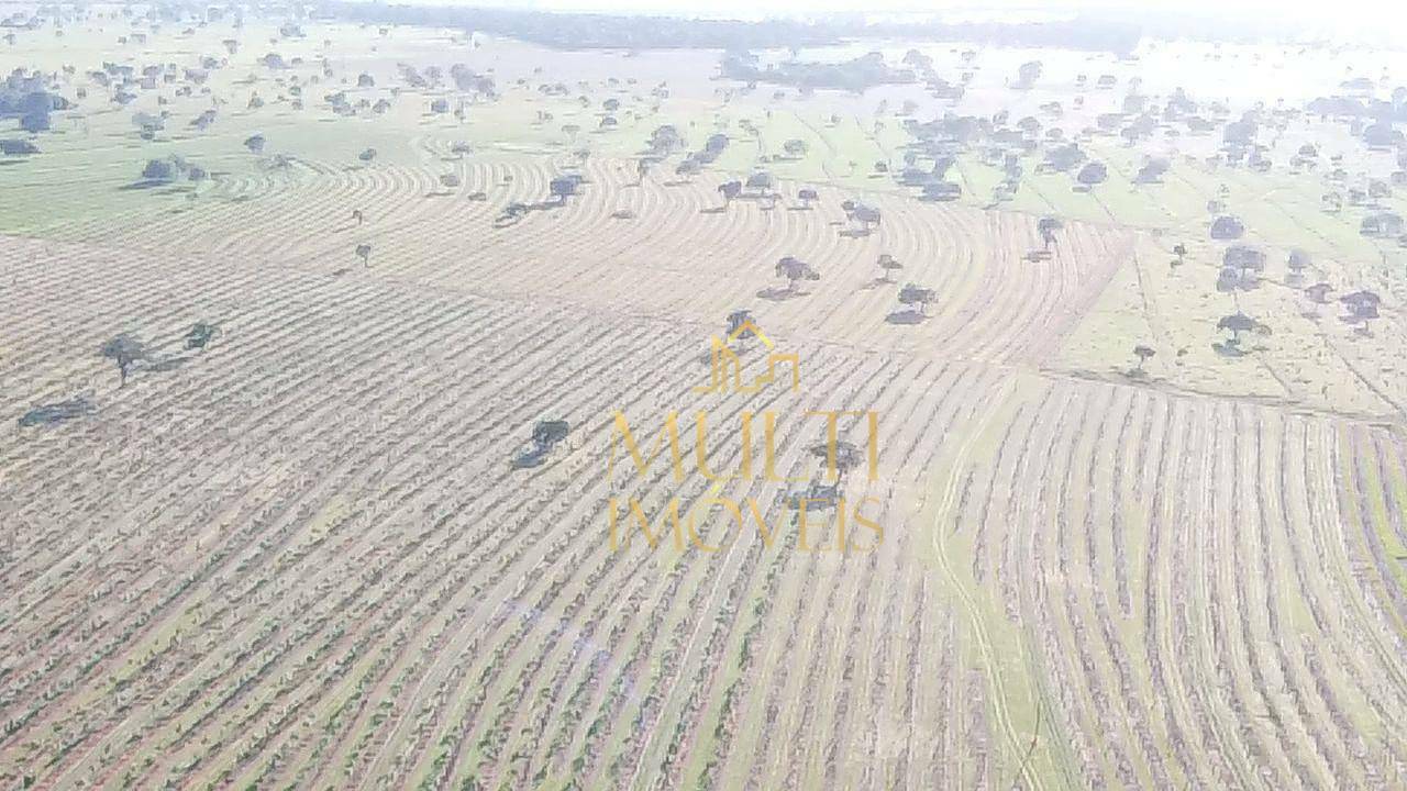 Fazenda à venda com 2 quartos, 6460000M2 - Foto 4