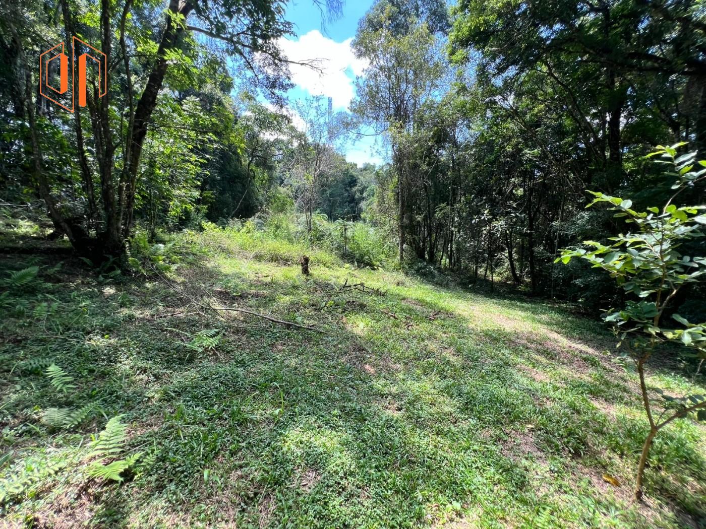 Chácara à venda, 26000m² - Foto 9