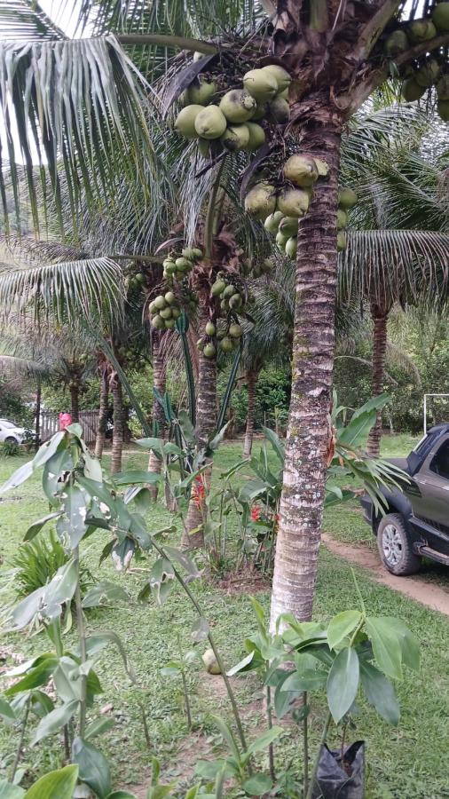 Fazenda à venda com 4 quartos, 2500m² - Foto 19