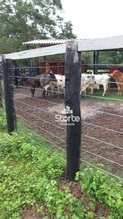 Fazenda à venda, 4549600M2 - Foto 7