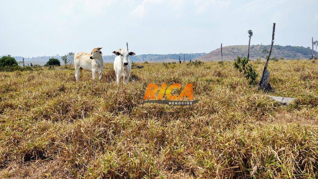 Fazenda à venda com 2 quartos, 39370000M2 - Foto 22