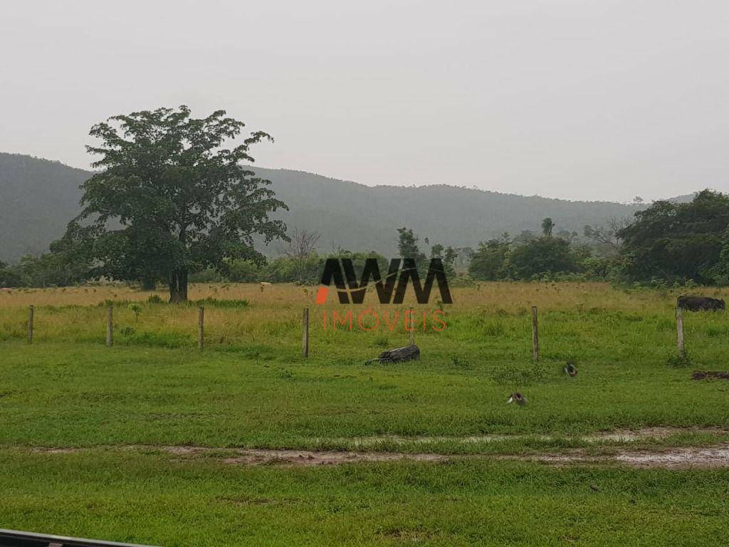 Fazenda à venda, 50336000M2 - Foto 33