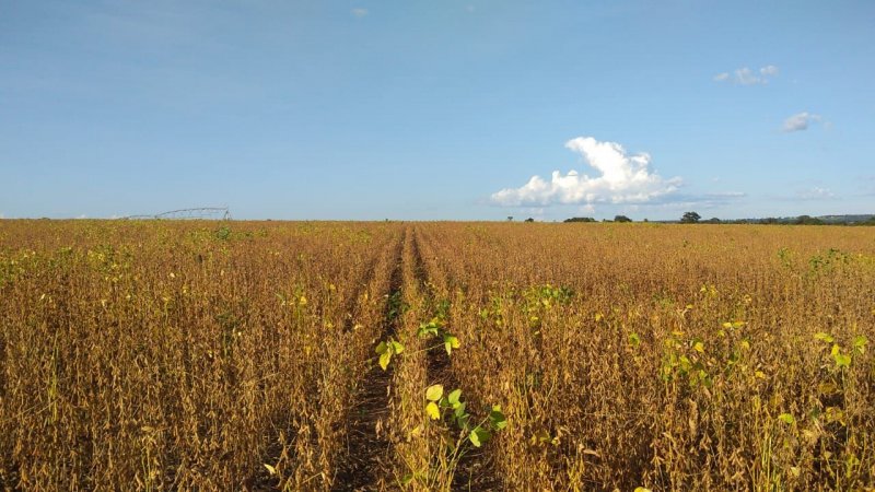 Fazenda à venda, 1580m² - Foto 1