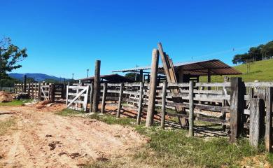 Fazenda à venda com 2 quartos, 210000m² - Foto 12