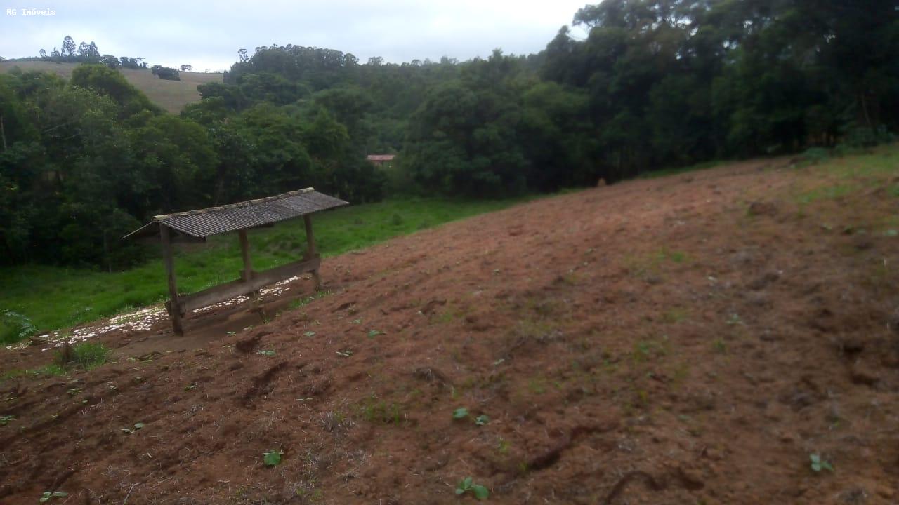 Sítio à venda com 2 quartos, 15000m² - Foto 3