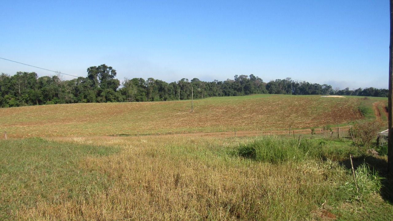 Terreno à venda, 18919m² - Foto 2