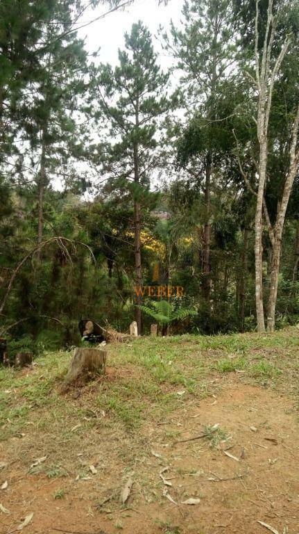 Terreno à venda, 3000M2 - Foto 32