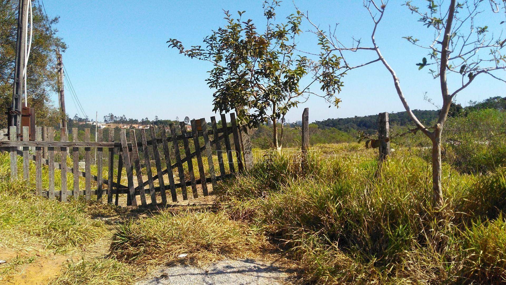 Terreno à venda, 253988M2 - Foto 5