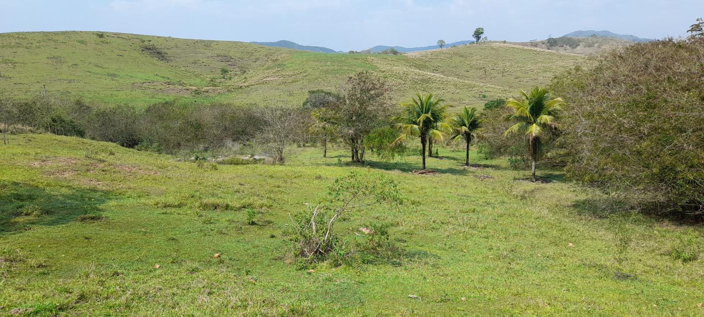 Fazenda à venda com 2 quartos, 20000m² - Foto 10