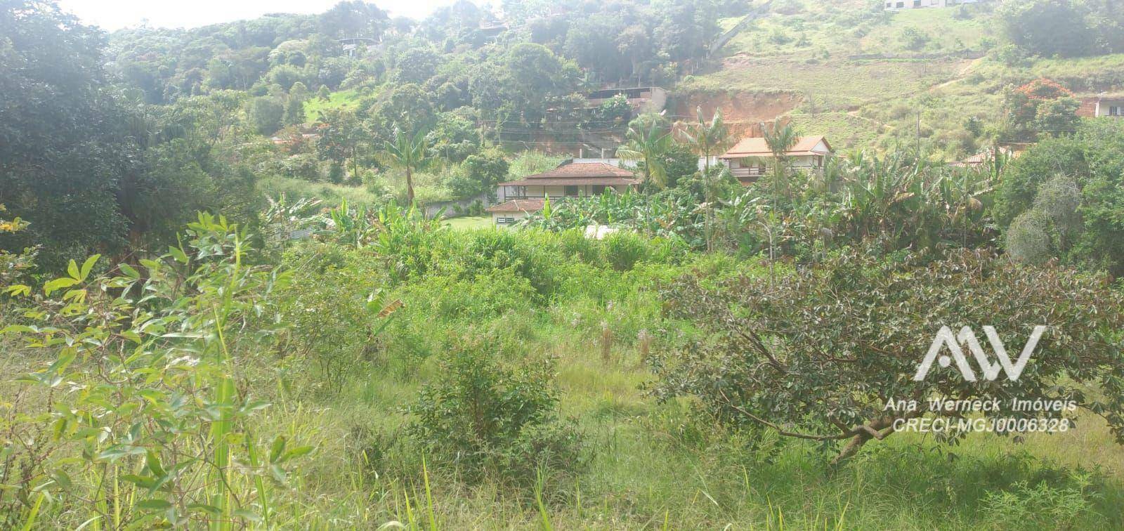 Terreno à venda, 2000M2 - Foto 4